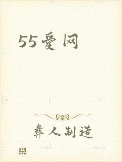 55爱网