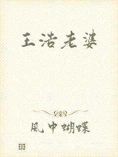 王浩老婆封面