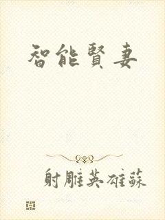 智能贤妻