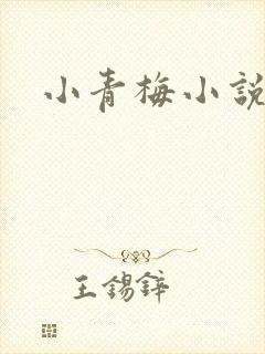 小青梅小说