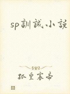 sp训诫小说
