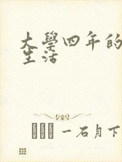 大学四年的贱奴生活封面