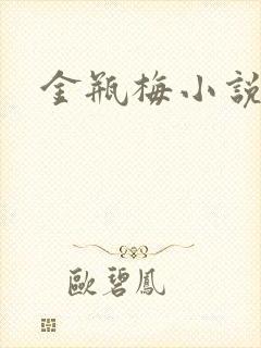 金瓶梅小说下载