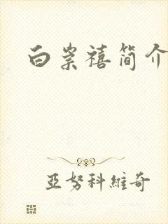白崇禧简介封面
