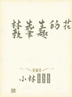 林先生的花式管教笔趣