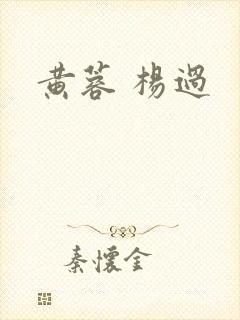 黄蓉 杨过