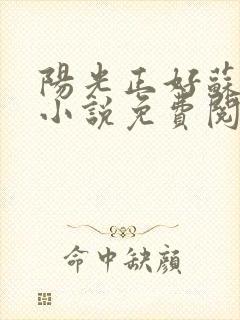 阳光正好苏玥玥小说免费阅读
