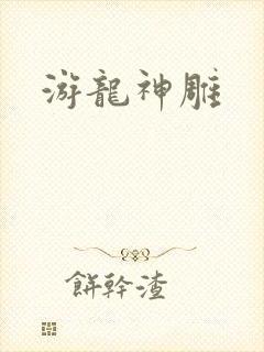 游龙神雕封面