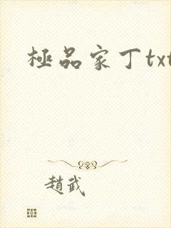极品家丁txt