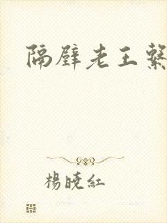 隔壁老王系统