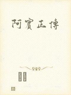 阿宾正传