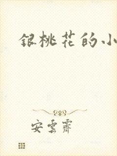 银桃花的小说封面