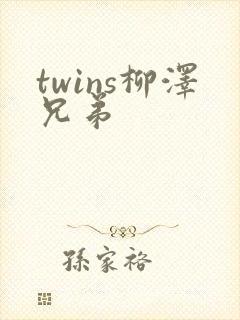 twins柳泽兄弟封面