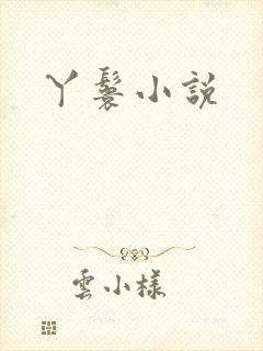丫鬟小说