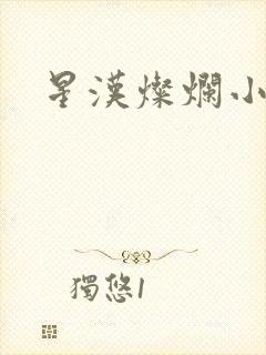 星汉灿烂小说