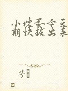小坏蛋今天危险期快拔出来
