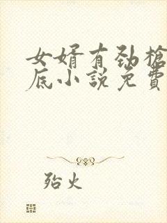 女婿有劲枪枪到底小说免费阅读封面