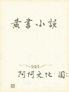 黄书小说