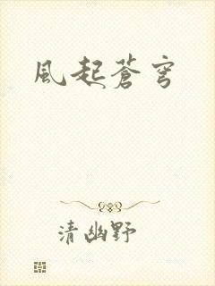风起苍穹
