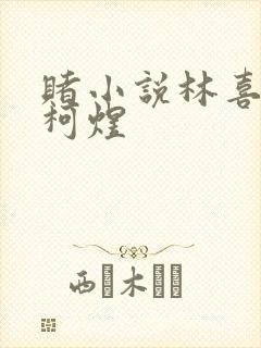 赌小说林喜朝和柯煜封面