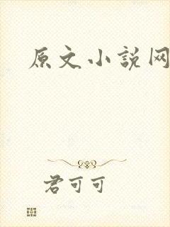 原文小说网