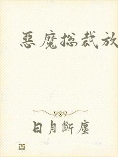 恶魔总裁放了我封面
