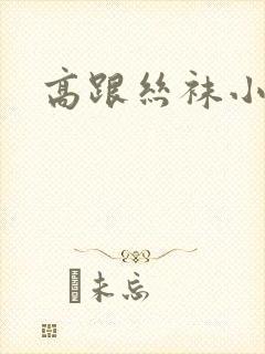 高跟丝袜小说