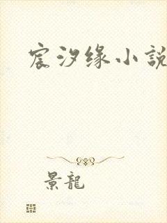 宸汐缘小说封面