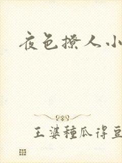 夜色撩人小说
