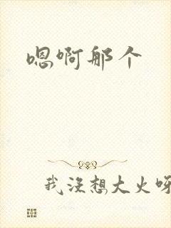 嗯啊那个