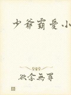 少爷霸爱小丫头