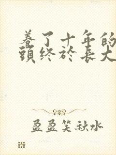 养了十年的小丫头终于长大了