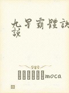 九星霸体诀 小说封面