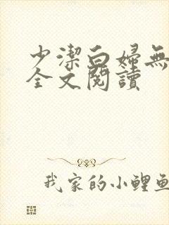 少洁白妇无删减全文阅读