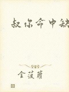 叔你命中缺我