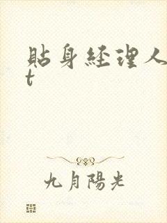 贴身经理人txt