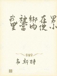 我被绑在男公厕里当肉便小说封面