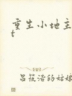 重生小地主txt