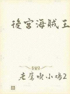 后宫海贼王
