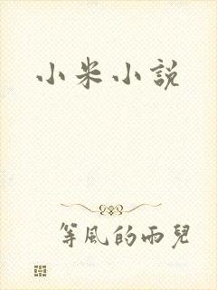 小米小说