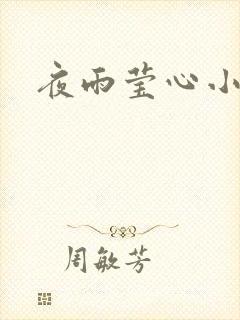 夜雨莹心小说