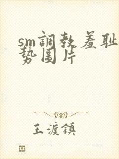 sm调教羞耻姿势图片