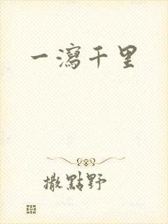 一泻千里封面