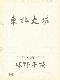 东北大坑封面