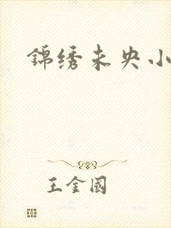 锦绣未央小说