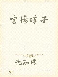 官场浪子