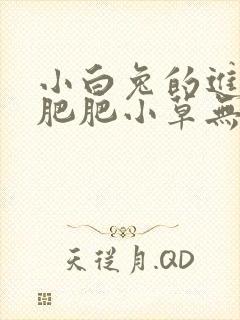 小白兔的进化史肥肥小草无防盗