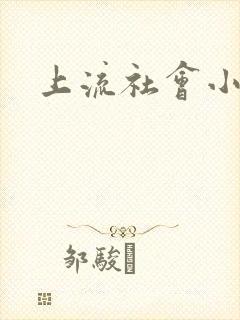 上流社会小说