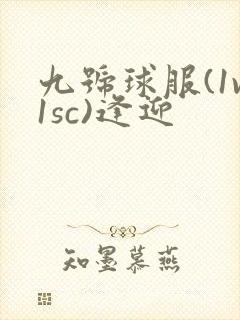 九号球服(1v1sc)逢迎