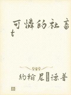 可怜的社畜txt